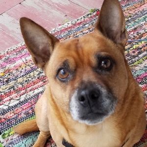 Meet your Posher, Elisa